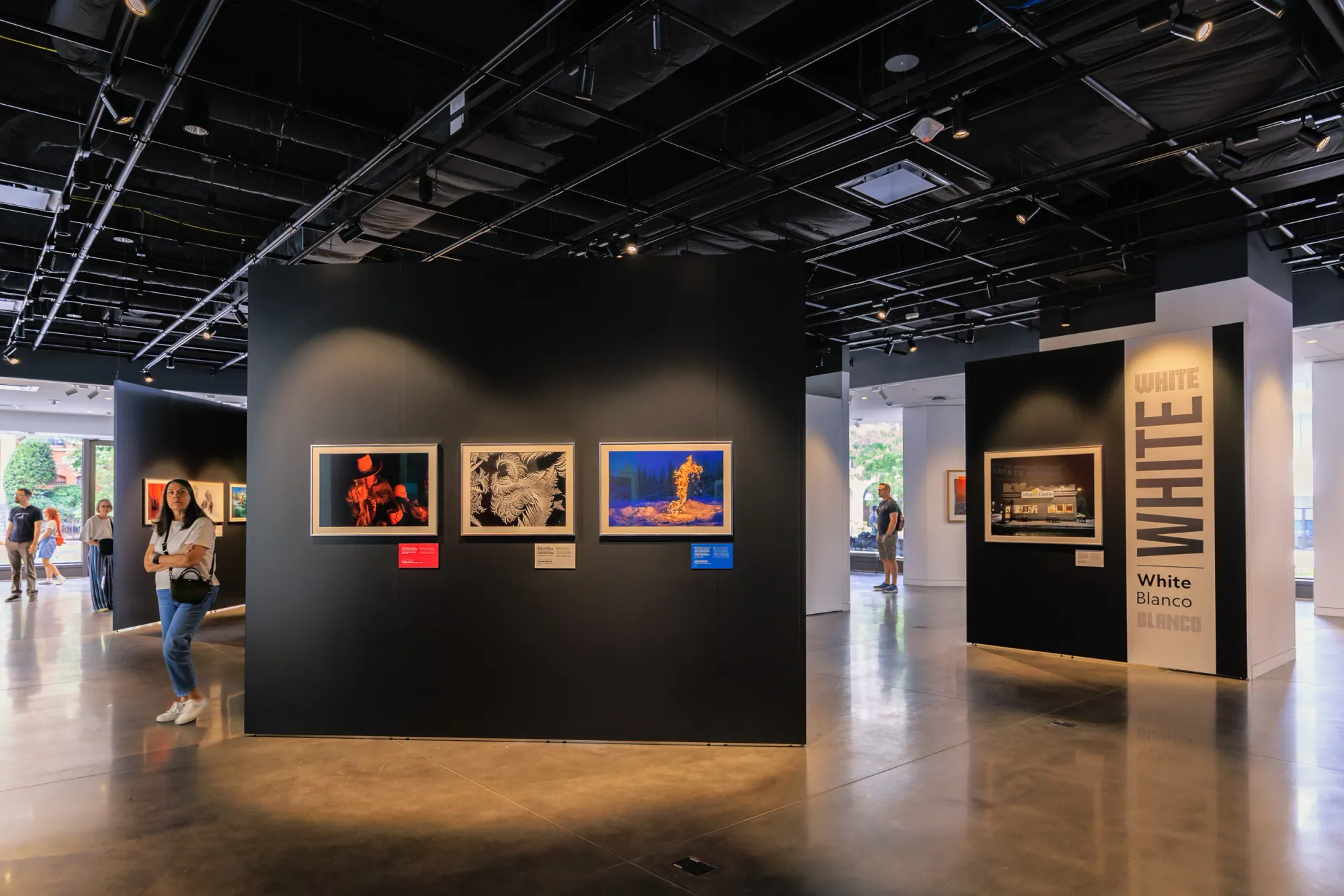 In Focus: Photographs of National Geographic — iconic images from the Society's archive, beautifully printed.